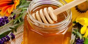 Pure Wild Forest Honey