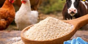 Probiotics Animal Feed