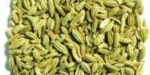 Green Fennel Seeds