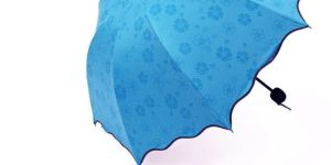 Muga Silk Umbrella