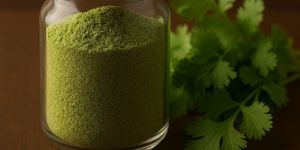 Dehydrated Coriander Leaves Powder