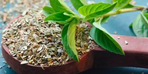 Dried Tulsi Leaves