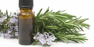 Rosemary Essential Oil