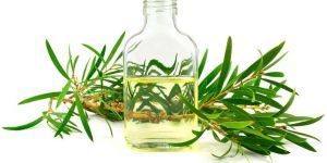 Tea Tree Essential Oil