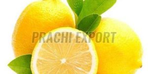 Fresh Yellow Lemon