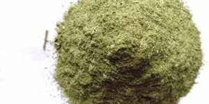 Dehydrated Celery Powder