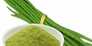 Dehydrated Drumstick Powder