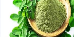 Dehydrated Moringa Powder