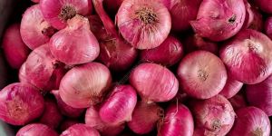 B Grade Red Onion