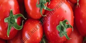 Indian A Grade Fresh Tomato
