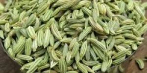 Fennel Seeds