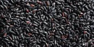 Chak Hao Black Rice