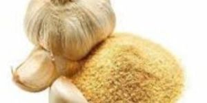 Dehydrated Garlic Powder