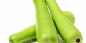 Premium Bottle Gourd