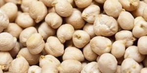 Premium Kabuli Chickpeas