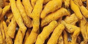 A Grade Turmeric Finger