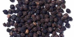 Black Pepper Seeds