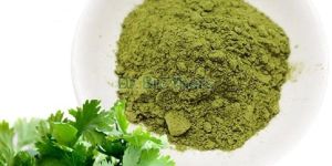Dehydrated Coriander Powder