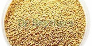 Foxtail Millet Seeds