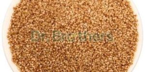 Kodo Millet Seeds