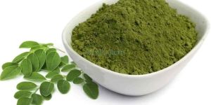 Moringa Oleifera Leaves Powder