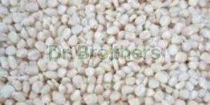 Organic White Maize Seeds