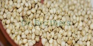 Sorghum Millet Seeds