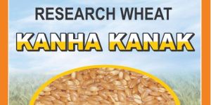 Kanha Research Wheat Seed