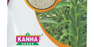 Kanha Sesamum Seed