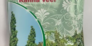 Kanha Veer Hybrid Castor Seed