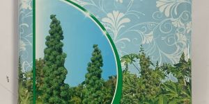 Radha Hybrid Castor Seed