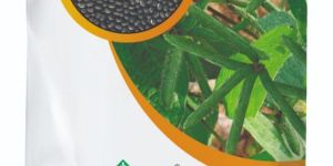 Research Blackgram Seeds