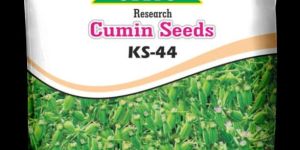 Research Cumin Seeds