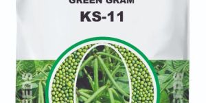 Research Green Gram Seeds