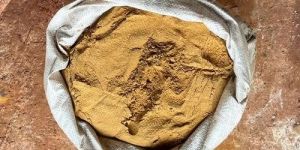 Yellow Earth Powder