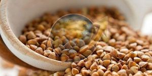 Buckwheat Millet Seeds