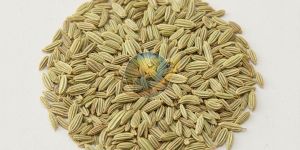 Fennel Seeds