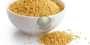 Foxtail Millet Seeds
