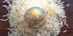 IR 64 Parboiled Non Basmati Rice