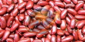 Red Kidney Beans