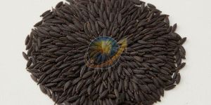 Shah Jeera Seeds