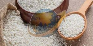 White Seeraga Samba Rice