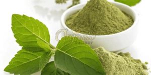 Organic Tulsi Herbal Powder
