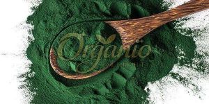 Spirulina Powder