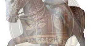 White Maharana Pratap Marble Statue