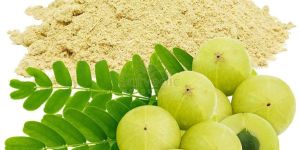 Amla Extract Powder