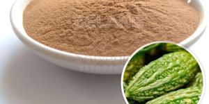 Bitter Melon Extract Powder