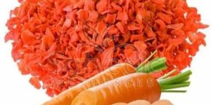 Dried Carrot Slices