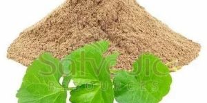 Gotu Kola Extract Powder