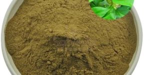 Gymnema Sylvestre Powder